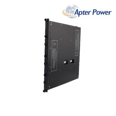 TRICONEX 4200N POWER SUPPLY MODULE
