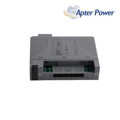 YOKOGAWA AAI143-S03 S1 Analog Input Module
