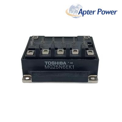 TOSHIBA MG25N6EK1 Power supply module
