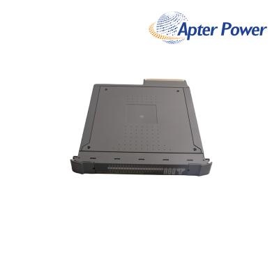 ICS Triplex T8873 Digital Output Module

